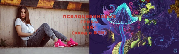 гашик Покачи